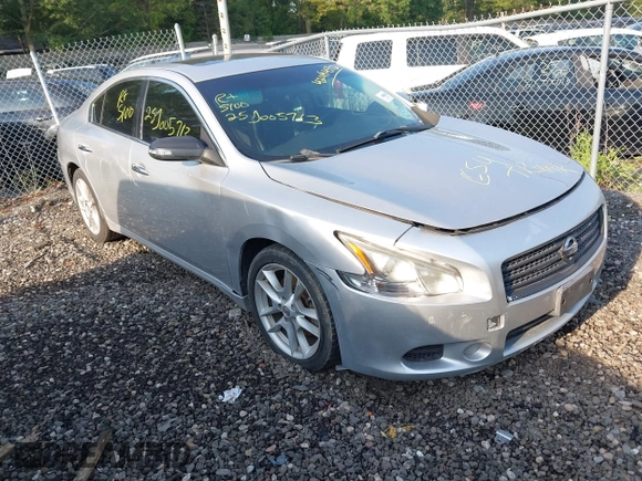 2011 Nissan Maxima SV with VIN 1N4AA5AP8BC812129, listed as a IAAI auction lot 42494532 with Not provided miles and . Bid and sale history available at DreamBid. Image 1.