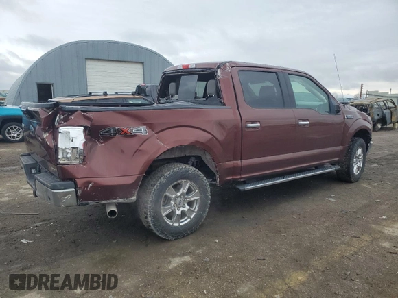 2015 Ford F-150 XLT with VIN 1FTEW1EFXFFA24559, listed as a Copart auction lot 51674285 with 91,192 mi miles and Salvage title. Bid and sale history available at DreamBid. Image 3.