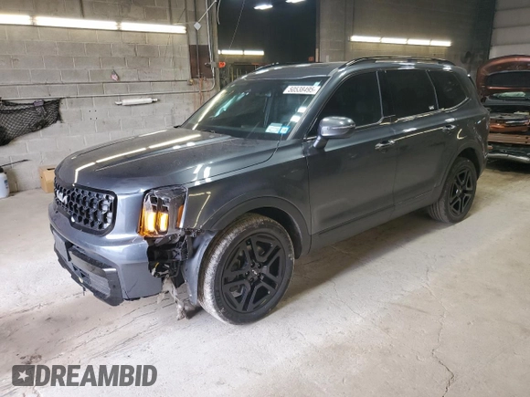 2024 Kia Telluride EX with VIN 5XYP3DGC5RG463482, listed as a Copart auction lot 50538495 with 28,669 mi miles and Salvage Title. Bid and sale history available at carsss.com. Image 1.