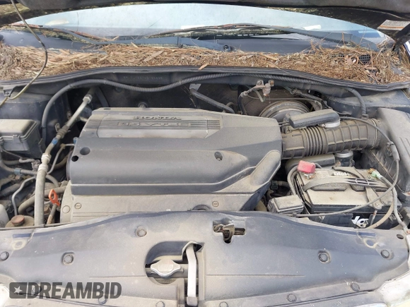 2004 Honda Odyssey EX-RES with VIN 5FNRL18874B132825, listed as a IAAI auction lot 41978812 with 147,792 mi miles and . Bid and sale history available at DreamBid. Image 10.