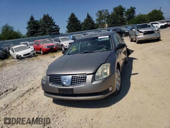 2005 Nissan Maxima 3.5 SE with VIN 1N4BA41E15C850559, listed as a Copart auction lot 67776784 with 0 mi miles and Salvage Title. Bid and sale history available at carsss.com. Image 11.