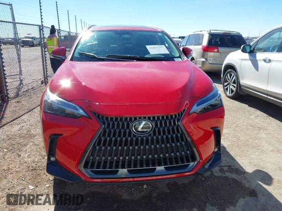 2024 Lexus NX with VIN 2T2GGCEZXRC044024, listed as a IAAI auction lot 41467201 with 11,334 mi miles. Bid and sale history available at carsss.com. Image 13.
