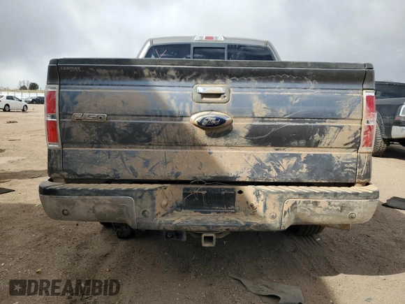 2013 Ford F-150 XL with VIN 1FTFW1EF3DFA22301, listed as a Copart auction lot 49437525 with Not Provided miles and Salvage Title. Bid and sale history available at DreamBid. Image 6.