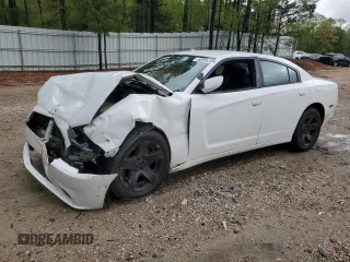 2012 Dodge Charger Police z VIN 2C3CDXAG3CH205208, wystawiony jako Copart lot #52694165 z przebiegiem 131 236 mil mil oraz Szkoda całkowita • Salvage title. Historia ofert i sprzedaży dostępna na DreamBid. Obrazek 1.