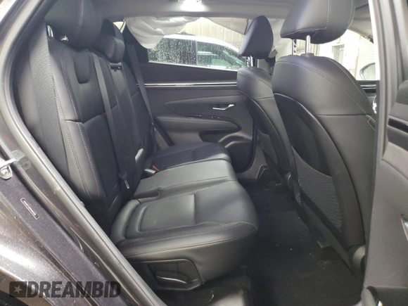 2023 Hyundai Tucson Limited with VIN 5NMJECAE9PH251420, listed as a Copart auction lot 47364105 with 32,728 mi miles and Salvage Title. Bid and sale history available at DreamBid. Image 10.