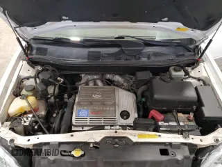 2003 Lexus RX 300 with VIN JTJHF10U030298982, listed as a Copart auction lot 61236885 with 232,276 mi miles and Non repairable. Bid and sale history available at DreamBid. Image 12.