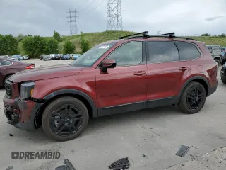 2024 Kia Telluride SX Prestige X-Pro z VIN 5XYP5DGC4RG541146, wystawiony jako Copart lot #60697265 z przebiegiem 6 916 mil mil oraz Szkoda całkowita • Salvage title. Historia ofert i sprzedaży dostępna na DreamBid. Obrazek 1.