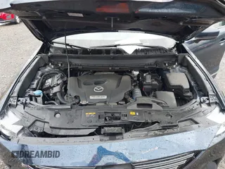 2019 Mazda CX-9 Touring with VIN JM3TCBCY4K0329506, listed as a IAAI auction lot 41800492 with 67,052 mi miles. Bid and sale history available at carsss.com. Image 10.