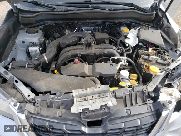 2018 Subaru Forester Limited with VIN JF2SJAJCXJH448450, listed as a Copart auction lot 54229632 with 116,587 mi miles. Bid and sale history available at carsss.com. Image 7.