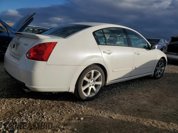 2008 Nissan Maxima SE with VIN 1N4BA41E28C801181, listed as a Copart auction lot 81125094 with Not Provided miles and Clean Title. Bid and sale history available at DreamBid. Image 3.