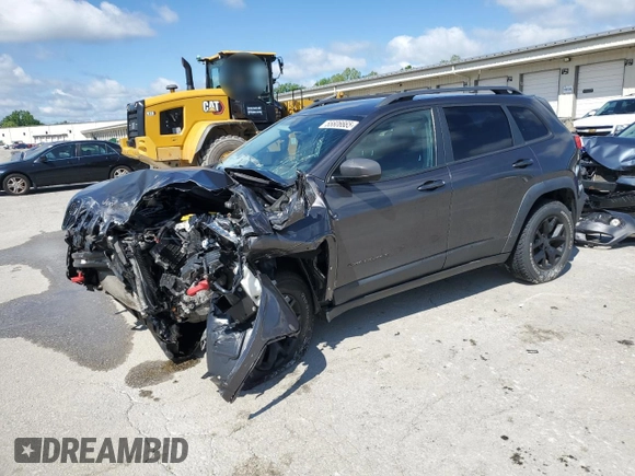 2017 Jeep Cherokee Trailhawk with VIN 1C4PJMBSXHW600230, listed as a Copart auction lot 55606665 with Not provided miles and Salvage title. Bid and sale history available at DreamBid. Image 1.