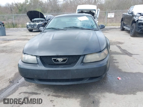 2003 Ford Mustang Standard with VIN 1FAFP40413F441725, listed as a IAAI auction lot 41781768 with 150,417 mi miles. Bid and sale history available at carsss.com. Image 12.