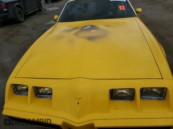 1981 Pontiac Firebird with VIN 1G2AT87S8BL140529, listed as a Copart auction lot 57791265 with Not provided miles and Salvage title. Bid and sale history available at DreamBid. Image 11.