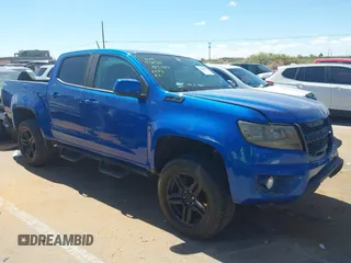 2019 Chevrolet Colorado 2WD Z71 with VIN 1GCGSDEN0K1202905, listed as a IAAI auction lot 42204389 with 146,935 mi miles and . Bid and sale history available at DreamBid. Image 13.