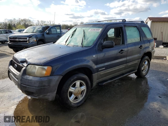 2002 Ford Escape XLS Choice with VIN 1FMYU01152KC17982, listed as a Copart auction lot 53362005 with Not provided miles and Non repairable. Bid and sale history available at DreamBid. Image 1.