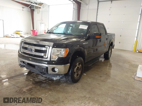 2013 Ford F-150 XL with VIN 1FTFW1EF0DFA07061, listed as a IAAI auction lot 41655268 with 286,537 mi miles. Bid and sale history available at carsss.com. Image 17.