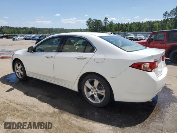 2013 Acura TSX with VIN JH4CU2F46DC012423, listed as a Copart auction lot 53288625 with 168,982 mi miles and Salvage title. Bid and sale history available at DreamBid. Image 2.