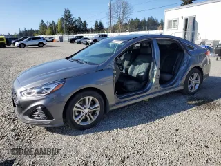2019 Hyundai Sonata SEL with VIN 5NPE34AF5KH808518, listed as a Copart auction lot 53586045 with 91,307 mi miles and Salvage Title. Bid and sale history available at DreamBid. Image 1.