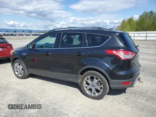 2013 Ford Escape SEL with VIN 1FMCU9H98DUA08981, listed as a Copart auction lot 54192445 with 102,151 mi miles and Salvage Title. Bid and sale history available at DreamBid. Image 2.