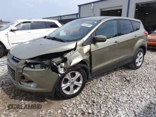 2013 Ford Escape SE with VIN 1FMCU0G95DUA54779, listed as a Copart auction lot 58428065 with 195,284 mi miles and Clean title. Bid and sale history available at DreamBid. Image 1.