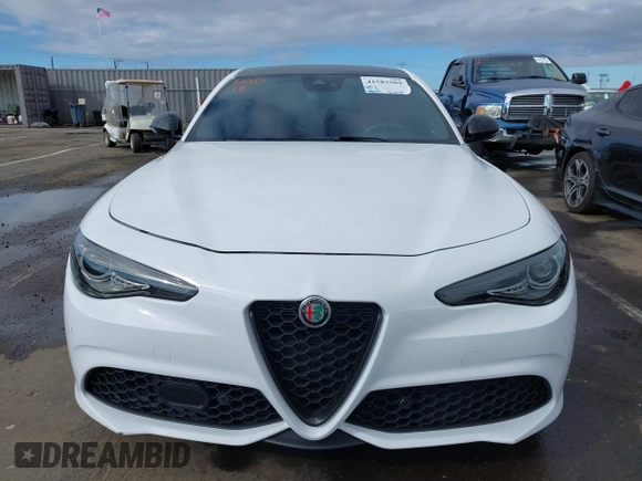 2022 Alfa Romeo Giulia Veloce with VIN ZARFAMBN9N7666124, listed as a IAAI auction lot 41583505 with 38,957 mi miles. Bid and sale history available at carsss.com. Image 12.