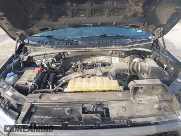2020 Ford F-150 XL z VIN 1FTEW1CP1LFA12856, wystawiony jako IAAI lot #41896198 z przebiegiem 95 423 mil mil oraz . Historia ofert i sprzedaży dostępna na DreamBid. Obrazek 10.