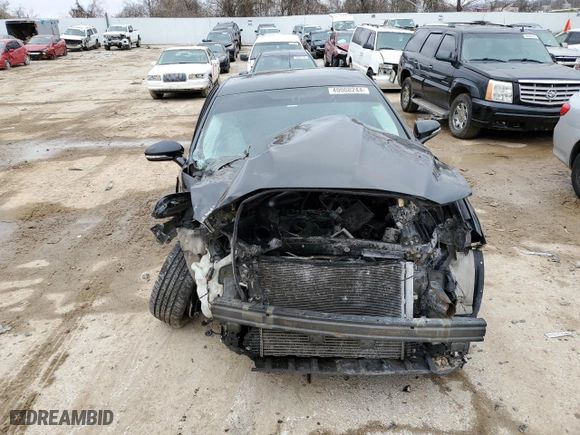 2013 Ford Fusion SE with VIN 3FA6P0HR4DR132599, listed as a Copart auction lot 40008244 with 0 mi miles and Salvage Title. Bid and sale history available at carsss.com. Image 5.