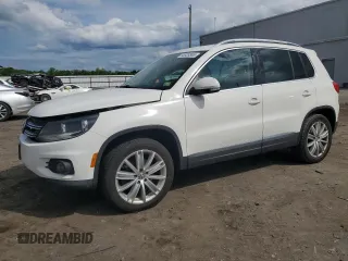 2013 Volkswagen Tiguan SE with VIN WVGBV7AX7DW512304, listed as a Copart auction lot 55928365 with 142,520 mi miles and Salvage title. Bid and sale history available at DreamBid. Image 1.