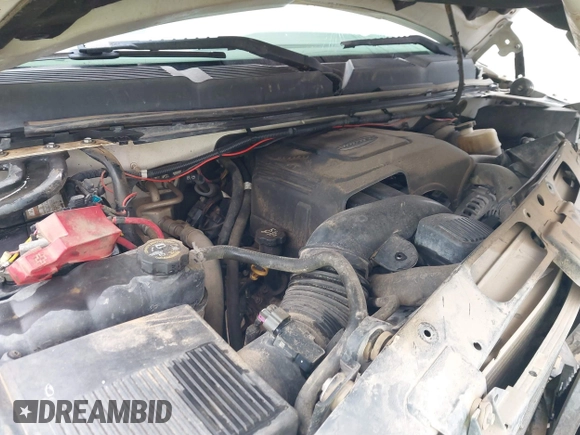 2010 Chevrolet Silverado 1500 with VIN 1GCSKPE32AZ189987, listed as a IAAI auction lot 41443898 with 175,896 mi miles and . Bid and sale history available at DreamBid. Image 10.