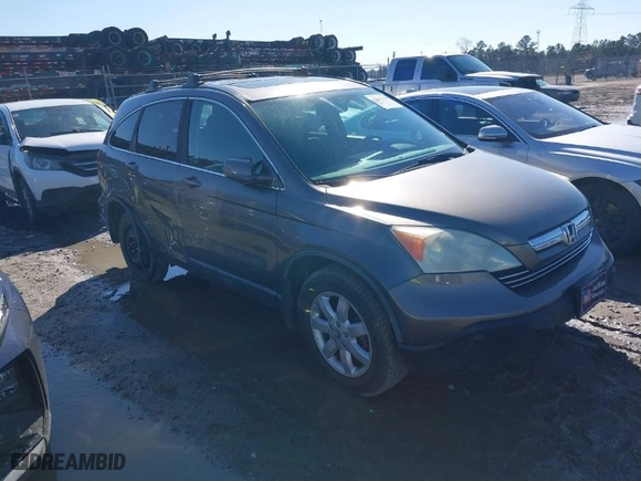 2009 Honda CR-V EX-L with VIN 5J6RE38719L014698, listed as a IAAI auction lot 41613316 with 170,769 mi miles. Bid and sale history available at carsss.com. Image 1.