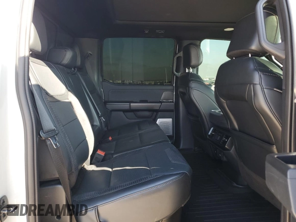 2023 Ford F-150 Raptor with VIN 1FTFW1RG7PFB77277, listed as a Copart auction lot 51096445 with 43,917 mi miles and Salvage Title. Bid and sale history available at DreamBid. Image 10.
