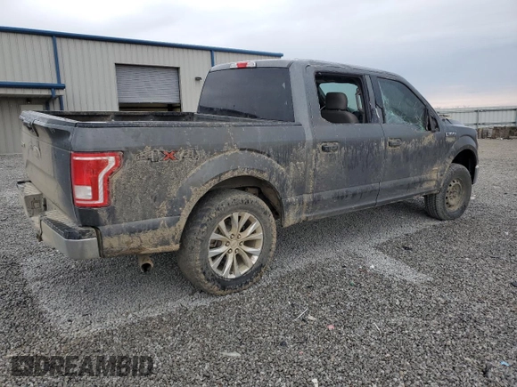 2017 Ford F-150 XL with VIN 1FTEW1EG6HFB05408, listed as a Copart auction lot 48661855 with 231,162 mi miles and Salvage Title. Bid and sale history available at carsss.com. Image 3.
