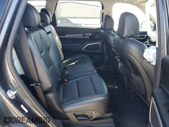 2020 Kia Telluride LX with VIN 5XYP2DHC8LG046141, listed as a Copart auction lot 54061695 with 89,781 mi miles and Salvage Title. Bid and sale history available at carsss.com. Image 11.