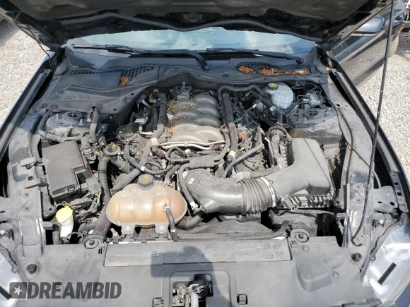 2018 Ford Mustang GT with VIN 1FA6P8CF2J5153624, listed as a Copart auction lot 55626135 with 94,206 mi miles and Salvage title. Bid and sale history available at DreamBid. Image 11.