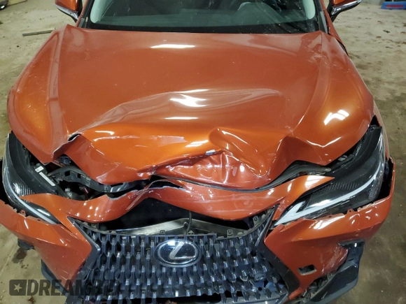 2023 Lexus NX with VIN 2T2GDCAZ3PC003990, listed as a Copart auction lot 78813924 with 6,282 mi miles and Clean Title. Bid and sale history available at carsss.com. Image 13.