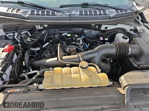 2019 Ford F-150 XL с VIN 1FTEX1CP9KKD65347, выставлен на аукционе IAAI как лот 42566198 с пробегом 162 673 миль миль и . История ставок и продаж доступна на DreamBid. Изображение 28.