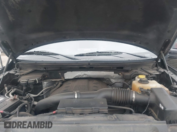 2014 Ford F-150 XL with VIN 1FTFW1ET5EFC27691, listed as a IAAI auction lot 41964611 with 155,816 mi miles and . Bid and sale history available at DreamBid. Image 10.