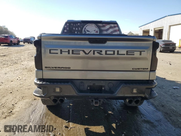 2020 Chevrolet Silverado 1500 Custom Trail Boss with VIN 3GCPYCEF5LG282805, listed as a Copart auction lot 50060805 with 119,379 mi miles and Salvage Title. Bid and sale history available at DreamBid. Image 6.