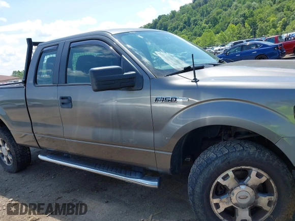 2010 Ford F-150 XL z VIN 1FTEX1EW3AFC76479, wystawiony jako IAAI lot #42586668 z przebiegiem 198 880 mil mil oraz . Historia ofert i sprzedaży dostępna na DreamBid. Obrazek 14.