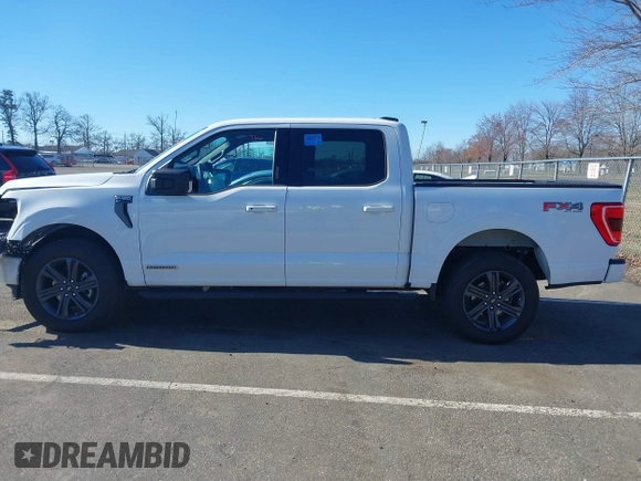 2023 Ford F-150 XL with VIN 1FTFW1ED0PFA18306, listed as a IAAI auction lot 41690965 with 49,988 mi miles. Bid and sale history available at carsss.com. Image 14.
