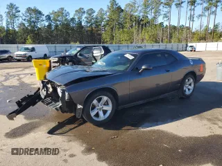 2013 Dodge Challenger R/T with VIN 2C3CDYBT8DH742126, listed as a Copart auction lot 41587655 with Not Provided miles and Salvage Title. Bid and sale history available at carsss.com. Image 1.