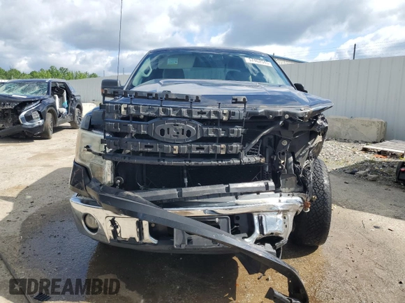 2010 Ford F-150 XL with VIN 1FTEX1C80AFA25472, listed as a Copart auction lot 57462045 with 130,692 mi miles and Salvage title. Bid and sale history available at DreamBid. Image 5.