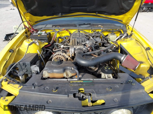 2005 Ford Mustang Deluxe with VIN 1ZVFT80N255136181, listed as a IAAI auction lot 42096578 with 151,696 mi miles and . Bid and sale history available at DreamBid. Image 10.
