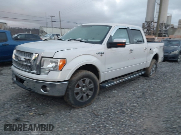 2011 Ford F-150 XLT with VIN 1FTFW1ET4BFD20567, listed as a IAAI auction lot 41256730 with 1 mi miles. Bid and sale history available at carsss.com. Image 2.