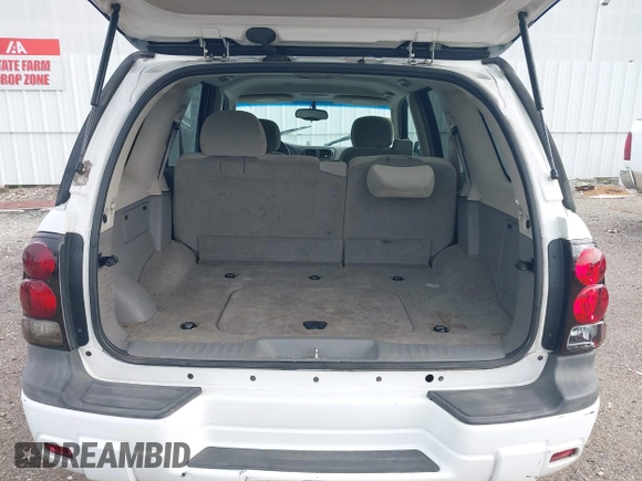 2005 Chevrolet TrailBlazer LS with VIN 1GNDS13SX52388713, listed as a IAAI auction lot 42100834 with 153,824 mi miles and . Bid and sale history available at DreamBid. Image 17.