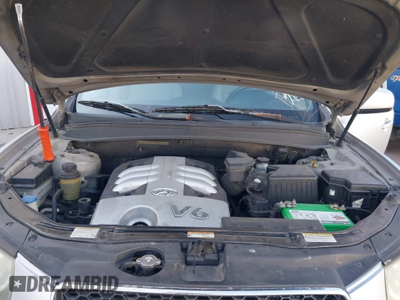 2007 Hyundai Santa Fe SE with VIN 5NMSH73E87H039768, listed as a IAAI auction lot 42422626 with 267,647 mi miles and . Bid and sale history available at DreamBid. Image 10.
