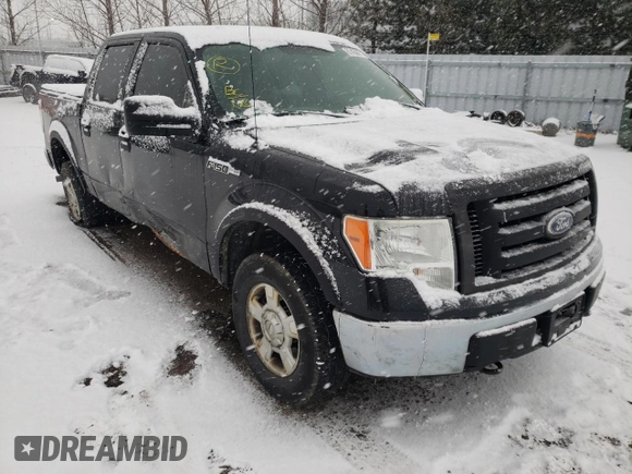 2010 Ford F-150 XL with VIN 1FTEW1E88AFC73162, listed as a Copart auction lot 67450871 with 288,009 mi miles and Clean title. Bid and sale history available at DreamBid. Image 1.