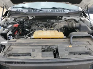 2016 Ford F-150 XL with VIN 1FTEX1C89GKF58100, listed as a Copart auction lot 49851245 with 213,696 mi miles and Clean Title. Bid and sale history available at carsss.com. Image 11.