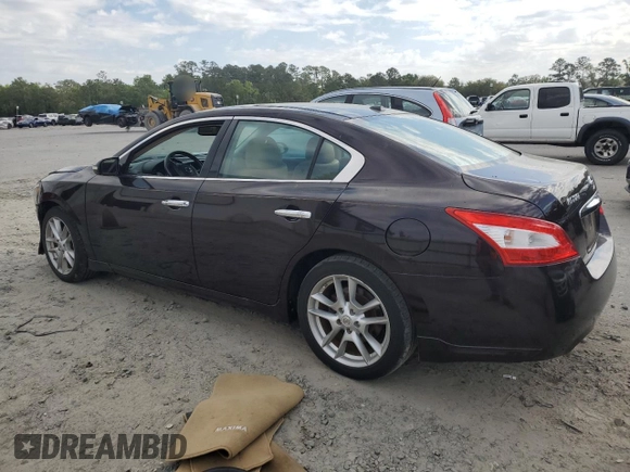 2011 Nissan Maxima 3.5 SV with VIN 1N4AA5AP8BC838066, listed as a Copart auction lot 52608205 with 99,096 mi miles and Salvage Title. Bid and sale history available at carsss.com. Image 2.