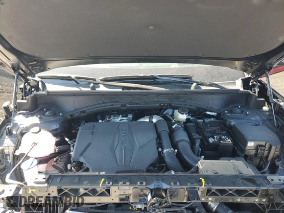 2024 Hyundai Santa Fe Calligraphy with VIN 5NMP54GL5RH062465, listed as a Copart auction lot 88648145 with 843 mi miles and Salvage title. Bid and sale history available at DreamBid. Image 14.
